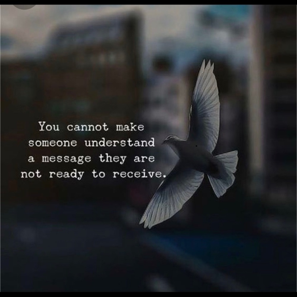 Meet your Posher, Robyn